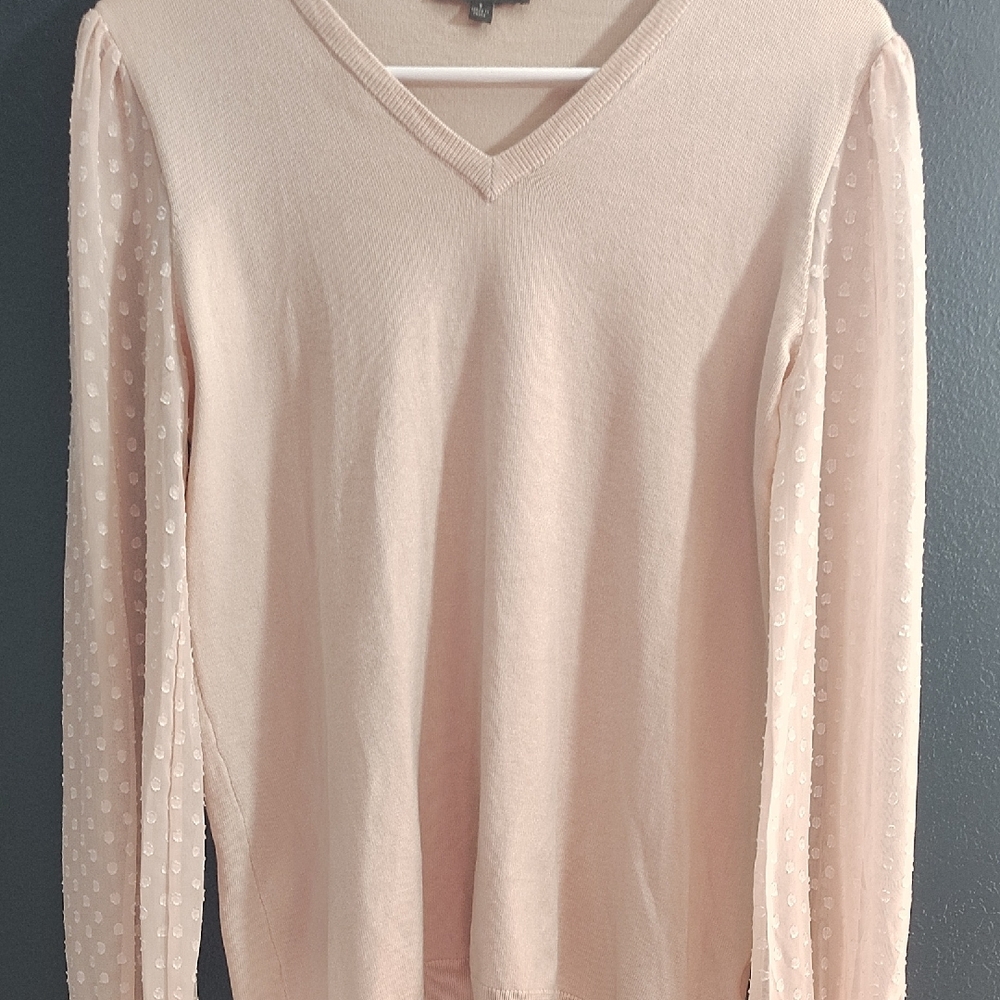 Adrianna Papell Blush Pink V-Neck Elegant Sweater Pokodot Sheer Long Sleeves